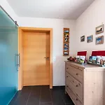 Bergahorn