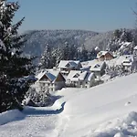 Bergahorn Todtnauberg