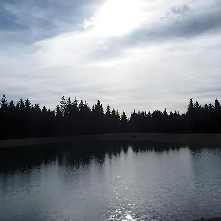 Bergahorn * Todtnauberg