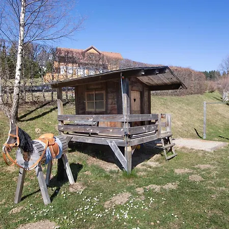 Apartment Bergahorn Todtnauberg