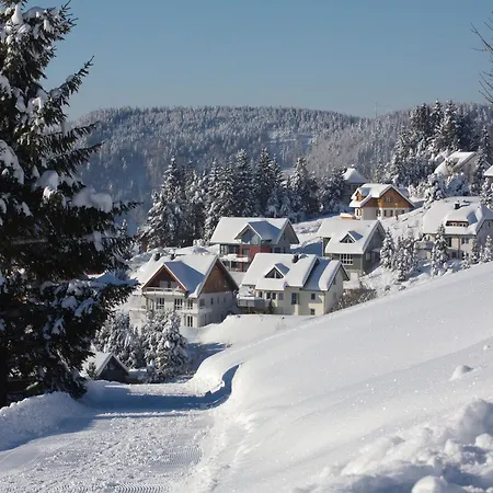 Bergahorn Todtnauberg